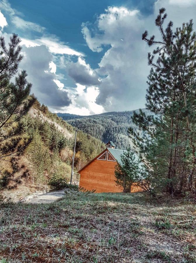 Cozy Cottage Feel Free Continental Didi Ateni Εξωτερικό φωτογραφία