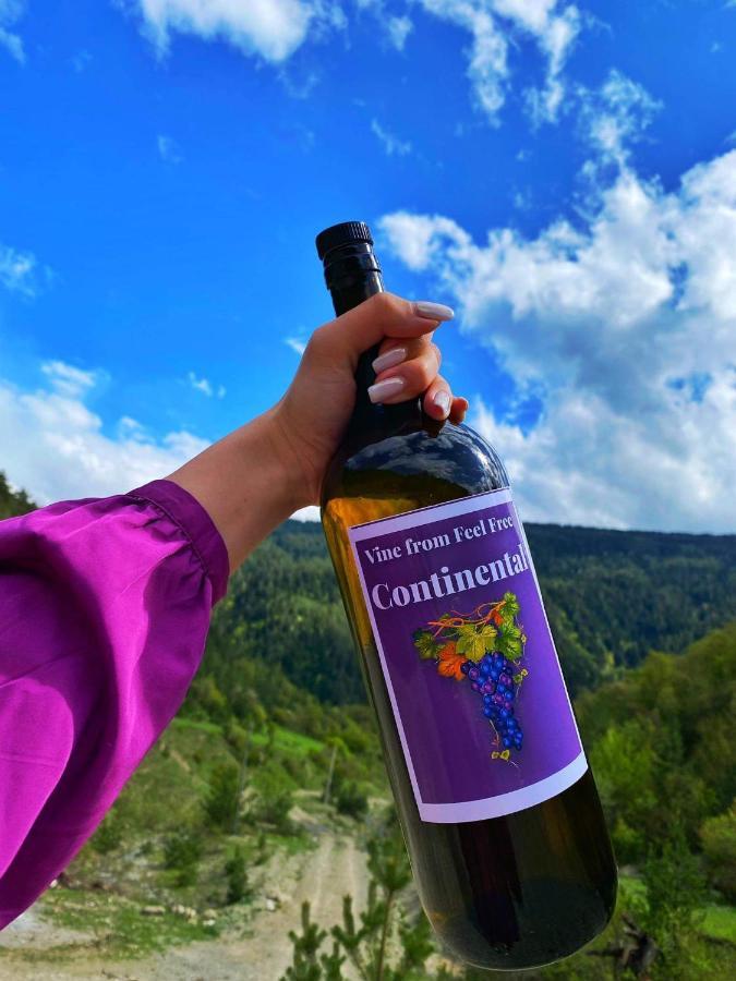 Cozy Cottage Feel Free Continental Didi Ateni Εξωτερικό φωτογραφία