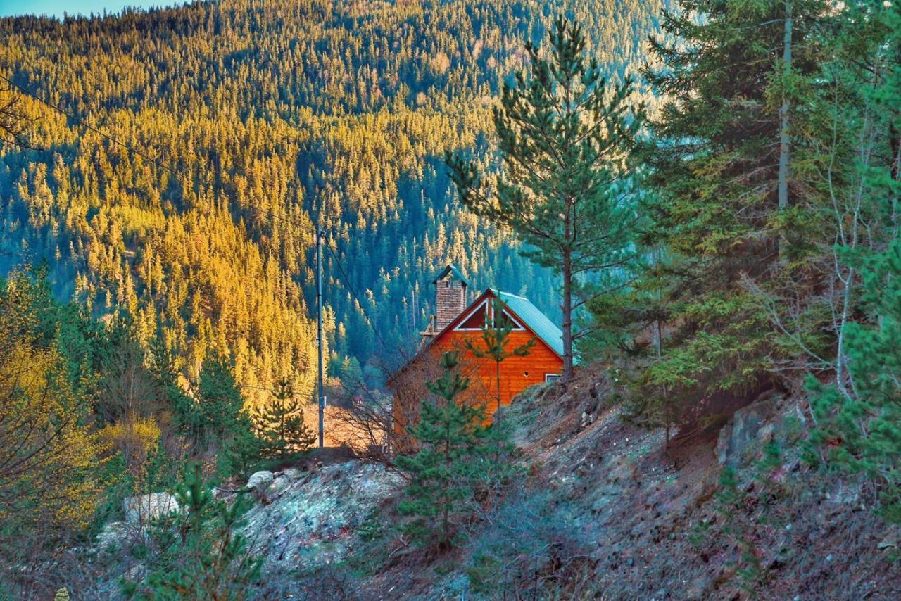 Cozy Cottage Feel Free Continental Didi Ateni Εξωτερικό φωτογραφία
