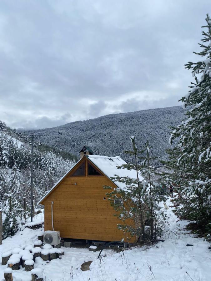 Cozy Cottage Feel Free Continental Didi Ateni Εξωτερικό φωτογραφία