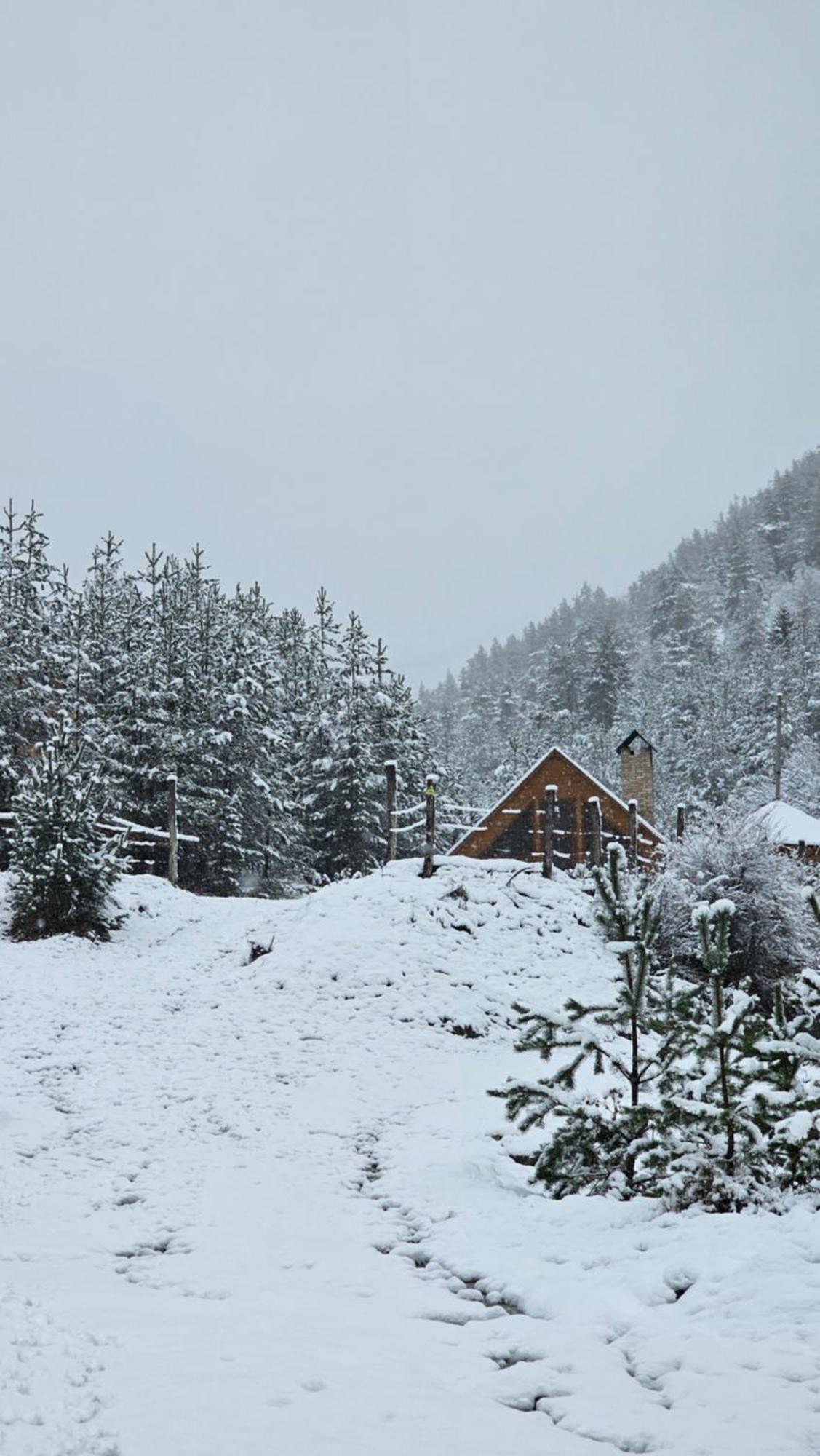 Cozy Cottage Feel Free Continental Didi Ateni Εξωτερικό φωτογραφία